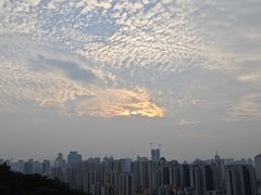 -金鸡山公园