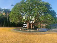 -深圳仙湖植物园