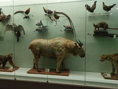 -国家自然博物馆