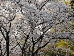 -中国茶叶博物馆(双峰馆区)