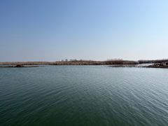 景点-苏州太湖湖滨国家湿地公园