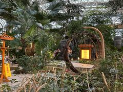 -郑州银基黄帝宫御温泉