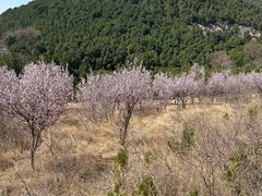 -四门塔风景区