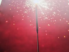 -溪岸路花鸟市场