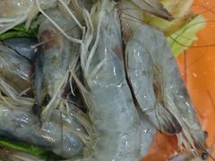-山海关浑锅(秦皇岛首店)