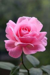 -邢台妇产医院