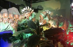 -恐龙探索乐园(磁器口店)