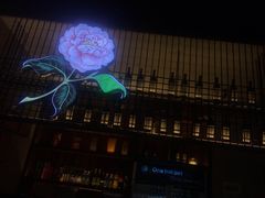-锅说大脸毛肚重庆老火锅(佐阾店)