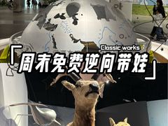 -中国湿地博物馆