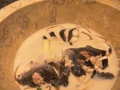 -云海肴云南菜·蒸汽石锅鱼(青岛万象城店)
