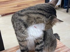 -玉椰林甜品店(创始店)