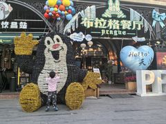 -布拉格餐厅· 中欧捷克菜(全国首店)