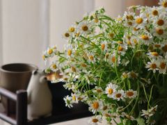 -循礼门鲜花花市(武汉循礼门店)