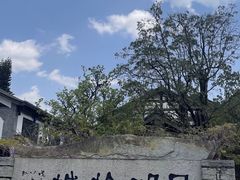 -云南民族村