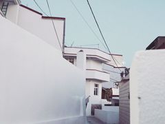 -枸杞岛