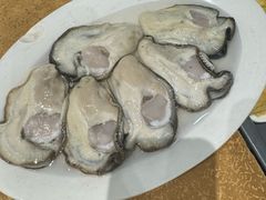 -濠轩阁特色生蚝火锅总店