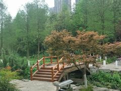 -重庆彩云湖湿地公园