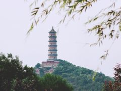 -北坞公园