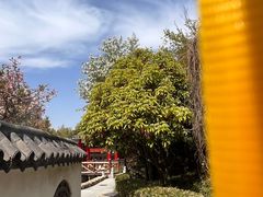 -观唐（国际）度假村温泉