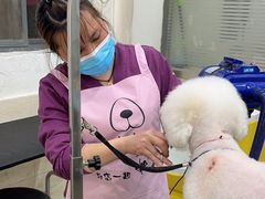 -暖阳宠物医院·犬猫康复中心·骨科