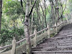 -普陀山风景区-佛顶山