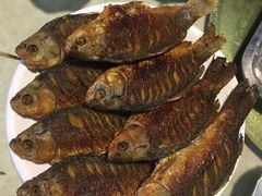 -满洲里添香烧鸽子饭店(世纪金城1期店)