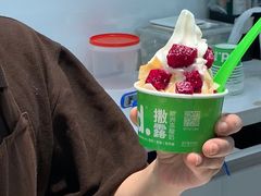 -Salud撒露欧洲冻酸奶(蓝色港湾店)