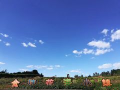 -北纬44度·金珠花海休闲农业旅游景区