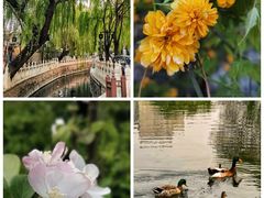 -东来顺铜锅炭火涮肉(上地华联店)