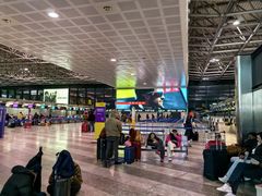 -米兰马尔彭萨国际机场