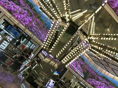-乐天免税店(明洞店)