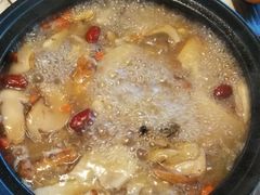 -蘑统田下·野生菌火锅