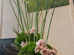 -深圳湾木棉花酒店