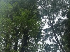 -白鹭湾湿地公园