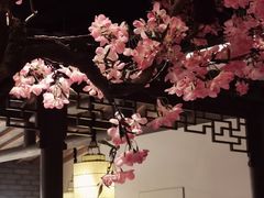 大堂-吴莊(龙城万科里店)