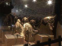 -世界恐龙谷景区