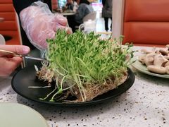 -椰子营·椰子鸡火锅(万象里店)
