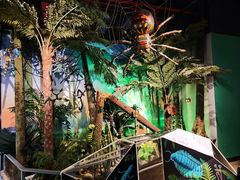 -正佳自然科学博物馆