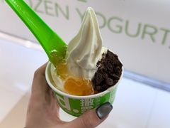 -Salud撒露欧洲冻酸奶(五道口购物中心店)