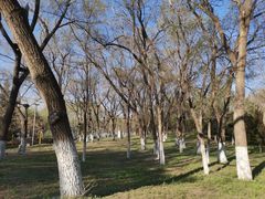 -长白岛森林公园