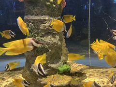 -西安曲江海洋极地公园