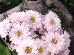 -永辉超市(嘉定宝龙广场店)