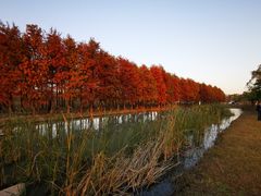 -柳鹭田园区