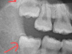 -新达口腔(华东理工大学店)