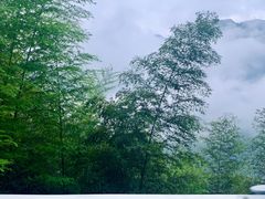 -江南天池