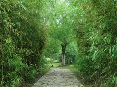 -白塘生态植物园