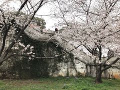 -苏州上方山国家森林公园