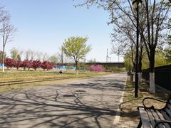 -永定河休闲森林公园