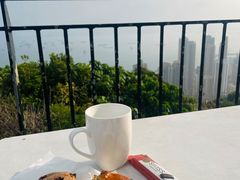 -YHA赛马会摩星岭青年旅舍(香港岛)