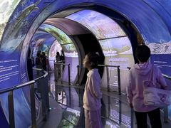 -房山世界地质公园博物馆